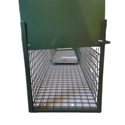 China Hot Sale Viable Live Animal Cage Trap Rabbit Cage Trap for sale