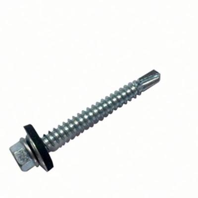 China Pan Factory In Zhejiang China 304 Stainless Steel Self Tapping Screw for sale