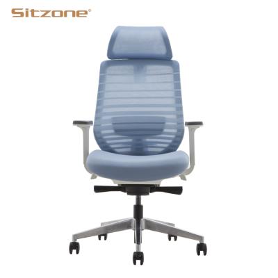 China (Height) Full Mesh Back Computer Executive Office Adjustable High End Ergonomic Boss Chair for sale