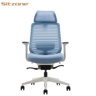 China 2020 New ESP2-002A Multifunctional Ergonomic Office Chair (Height) Adjustable Sitzone Style for sale