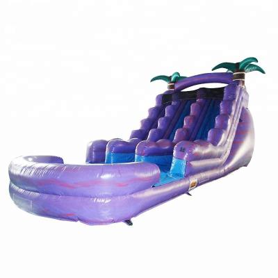 China Customized Lead Free Small Blow Up Vinyl Inflatable Water Slide With Pool for sale