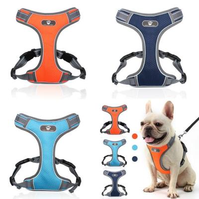 China Viable Plus Size Dog Leash With Bag Harness And Dog Leash Wheelchair for sale