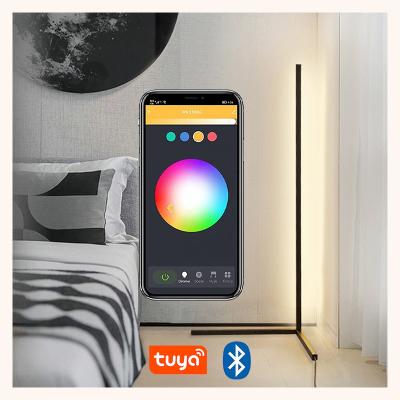 China EUROPEAN Modern Remote Standing Lamp Simple RGB LED Floor Lamp Corner Light for sale