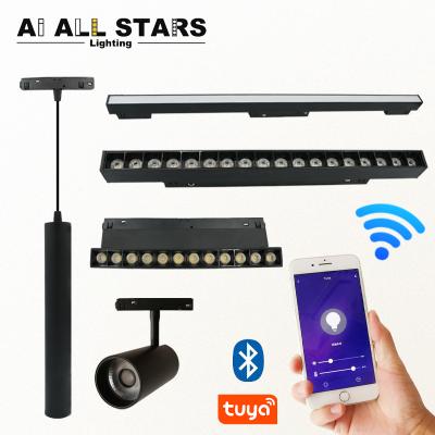 China Modern Adjustable Low Voltage 48V Magnet LED Track Light Dimmable LED Smart White Magnetic Track Lights System APP TDC for sale