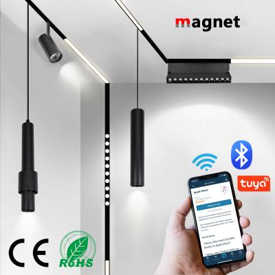 China Modern Dimmable LED Light Hot Sale Restaurant Pendant Light Smart Track Light for sale