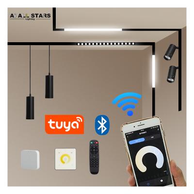 China Dimmable Modern Led Magnetic Track Light System Magnetic Led Lighting Blue Tooth Magnet Track Light for sale