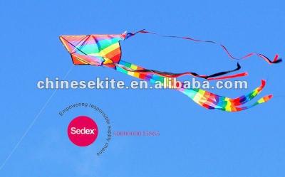 China Polyester Rainkbow Delta Kite For Kid for sale