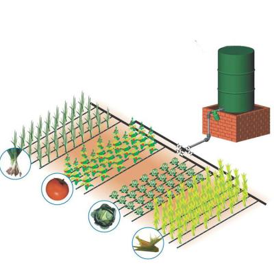 China Plastic Gravity Design 1000sqm Farm Irrigation System Small Drip Kit Free Drip For Onion for sale