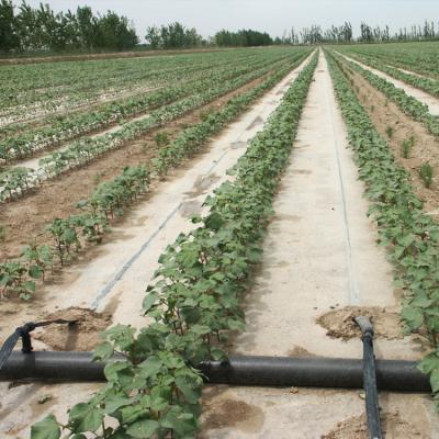 China High Quality Drip Irrigation Main PE Pipe Agriculture Irrigation Diameter 110mm Soft Hose for sale