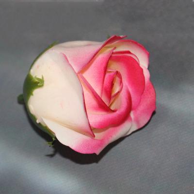 China 50PCS/Box Valentines Day Gifts Soap Spray Color Roses Flower Head Valentine's Day Flower Decorativegift for sale