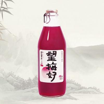 China Carbonate Bastard Myrtle Juice 300ml 1*24 Bottle Sparkling Beverage for sale