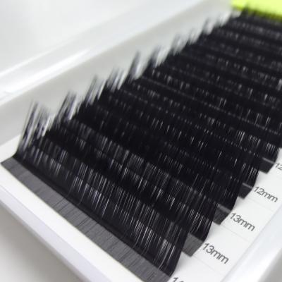 China Natural Wholesale Handmade L Loop Lash 12 Rows One Tray Individual Eyelash Extension Private Mark Classcal Eyelash for sale