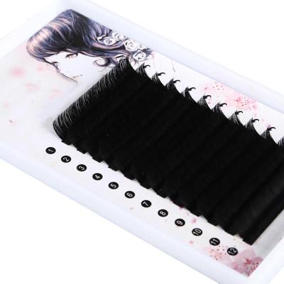 China New One Second Natural Fast Selling Very Easy Blooming Eyelash Extension Lash Supplier Wholesale Easy Fan Fan for sale