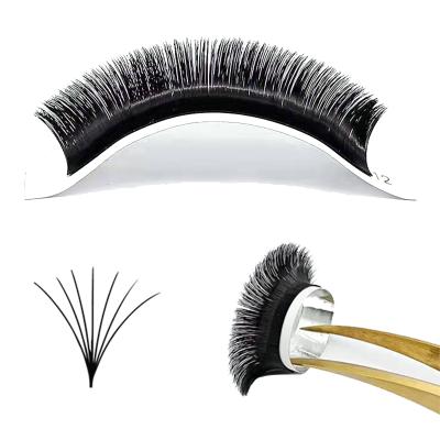 China Natural Fan Eyelashes Easy Vendor Mega Volume C D Curl Easy Fan Eyelashes Fast Blooming Extension for sale