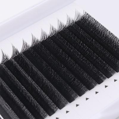 China Lash Quick Blooming Private Label Fan Natural Easy Eyelash Fan Automatic Eyelash Extension for sale