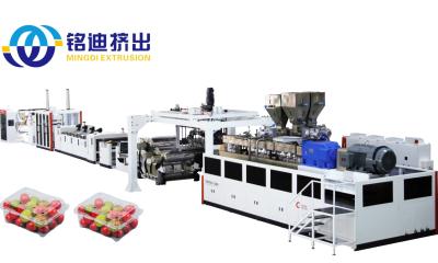 China Twin Screw Automatic Plastic Extruder Machine For PET / PLA / PP / PS Film Sheet / Plate Board for sale