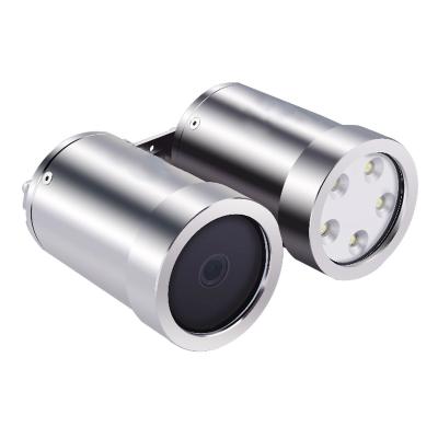 China Built-in LED Flashlight 2 in1 Restaurant Digital Visual Real-Time Coral Reef Underwater Observation Fishing 100m Underwater Camera for sale