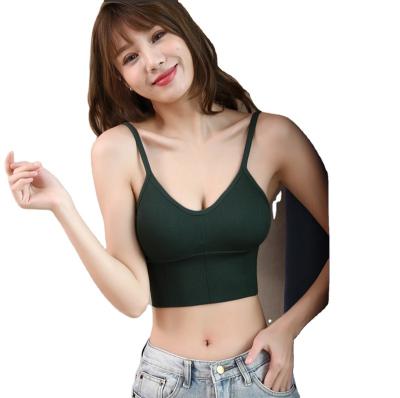 China Popular Seamless Shockproof Casual Underwear Chest Wrap Vest Gym Yoga Back Beauty Sportsbra Bra Tops In One Piece for sale