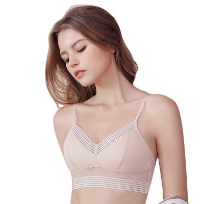 China QUICK DRY Padded Bralette Push Up Bras For Women Wire Free Bra Seamless Underwear Female Bra Sexy Lingerie Suggests for sale