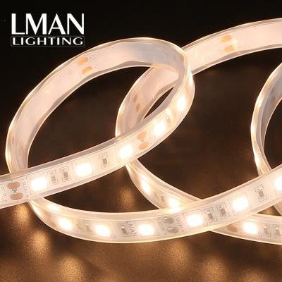 China Easy Installation Best Quality IP65 Waterproof SMD 5050 DC 12v 24v Flex Linear Lighting Led Strip for sale