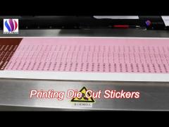 Adhesive Single Custom Die Cut Stickers , Name Printing Decal Cutting Sticker