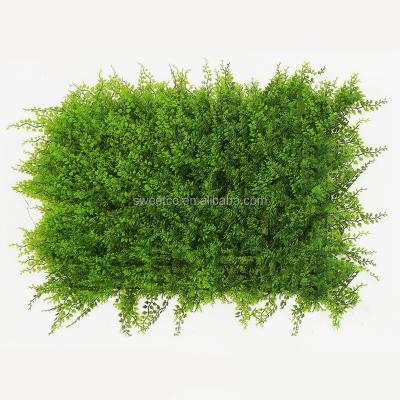 China Wholesale Eco-Friendly Artificial Evergreen Artificial Grass Boxwood Plant Indoor Wall for sale