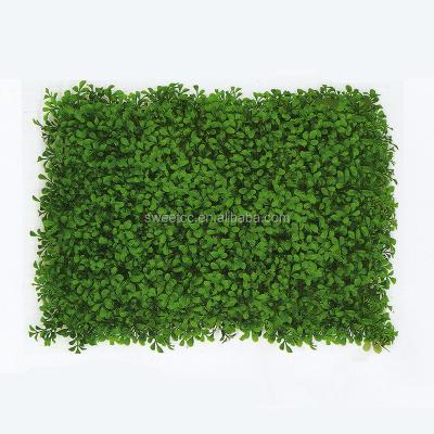 China Eco-friendly Factory Green Vertical Plastic Exterior Wall Hot Sale Boxwood Artificial Plant Wall Panel for sale