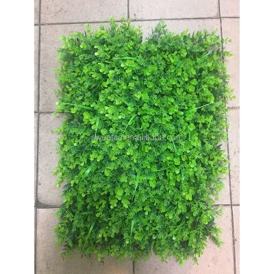 China Hot Sale Eco-friendly Artificial Evergreen Artificial Carpet Wall Grass Hedge Boxwood Plant Wall Plastic Boxwood for sale