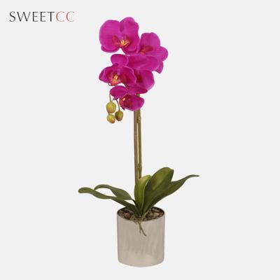 China 55cm Modern Real Touch Artificial Phalaenopsis Orchid Plant in Pot for Home Decor for sale