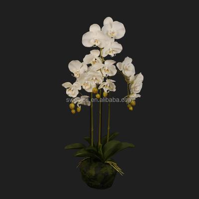 China Wholesale Real Touch 75cm 3 Branch Real Touch Artificial White Orchid In Pot For Home Decor for sale