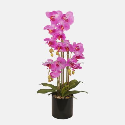 China Natural Wholesale Realistic Touch 68cm Latex Vanda Orchids Artificial Plants In Pot FPR Home Decor for sale