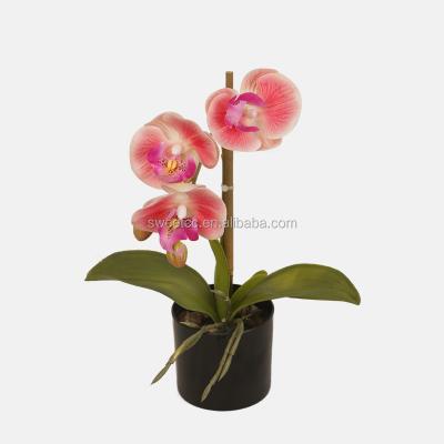 China Modern High Quality Mini Artificial Orchid Vanda Plants PU Orchid Flower In Pot For Home Decor for sale