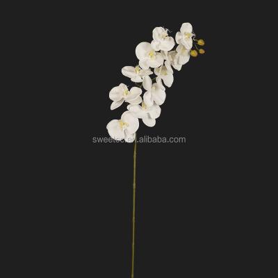 China 11 Touch Flowers Real Touch Natural Silk Latex Orchid Butterfly Artificial Flowers White Stem For Sale for sale