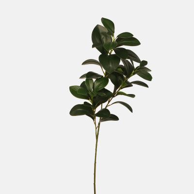 China Decoration Touch Real Green Artificial Magnolia Leaves For Home Decoration for sale