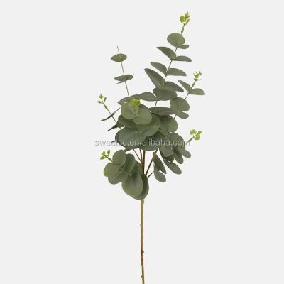 China Plastic Eucalyptus Artificial Eucalyptus Stems Modern Artificial Plants Real Touch Grow Leaves for sale