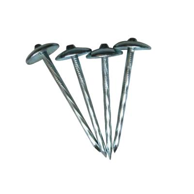 China Cheap Price Carbon Steel Twisted Cap Shank Galvanized Head Umbrella Roofing Nails With Rubber Gasket for sale