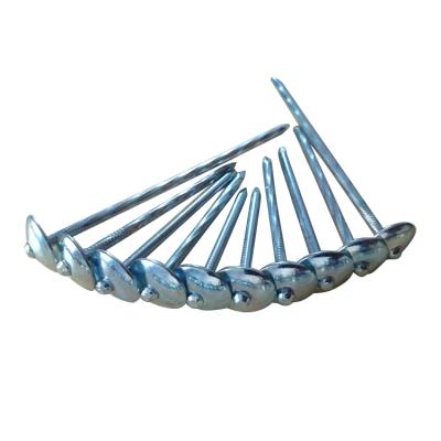 China High Quality Head Cap Umbrella Roofing Nail Galvanized Nails Low Carbon Steel Umbrella Roof Nails for sale