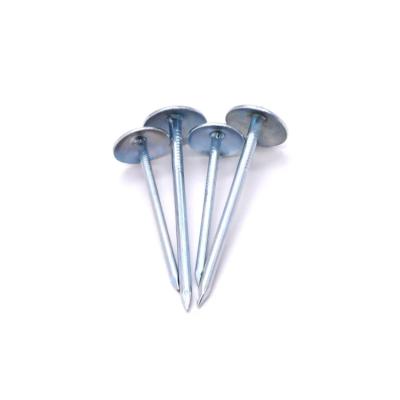 China Cap Roofing Nails Manufacturers Wholesale Cheap Price Hot Galvanized Roof Nails With Umbrella Head for sale