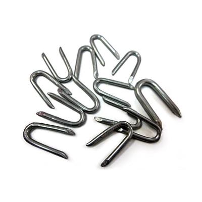 China Galvanized Type Galvanized Practical U Clip U Type Wholesale China Fence Nails for sale