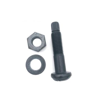 China Industry Factory Sale High Strength Shear Tension Control Torsion Carriage Bolt-Nut for sale