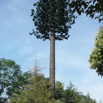 China Building Galvanized Mobile Bionic Palm Tree GSM Telecom Tower Single Pole Antenna Camouflage Tower for sale