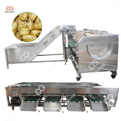 China High efficiency seal destoner potato grader and potato washing machine potato drum drum washing machine for sale