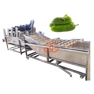 China High Efficiency Commercial Vegetable Bean Sprout Cleaning Machine Chilli Cucumber Washing Machine for sale