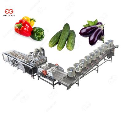 China Coconut Flesh Washing Machine Large Sea Seal Cucumber Washing Machine Fruit Gooseberry Limes Jackfruit Washing Machine for sale