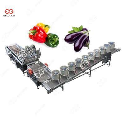 China Easy Operation Gelgoog Fruit and Vegetable Seal Loquat Ginseng Fruit Washing Machine Kiwi Fig Apricot Cleaning Bayberry for sale