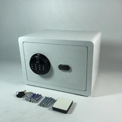 China New fingerprint with electronic safe 25FSB keypad (h) 250 x (w) 350 x (d) 250 mm for sale