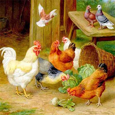 China Custom American Style Chicken Farm DIY Diamond Painting Kits For Adults Round Full Drill Diamond Pittura 5d Diamond Painting Kit Drop Shipping for sale