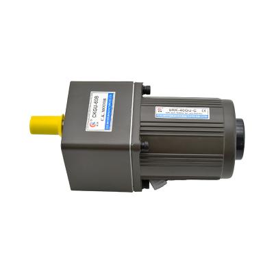 China 25W 40w60w90w120w180w200w250w 380v 110v 220V drip proof low speed motor for mask machine for sale