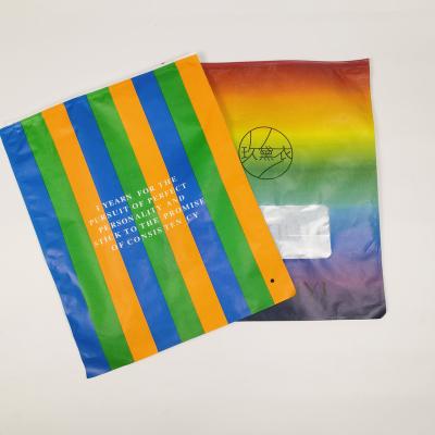 China Recyclable Custom Clear Plastic Zipper Bag With Resealable Zip Lock Bag for sale