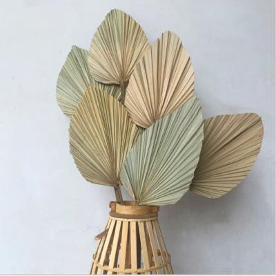 China Wholesale Natural Touch Flower Dried Palm Leaves Dried Palm Leaves Flowers For Wedding Party Home Decoration for sale